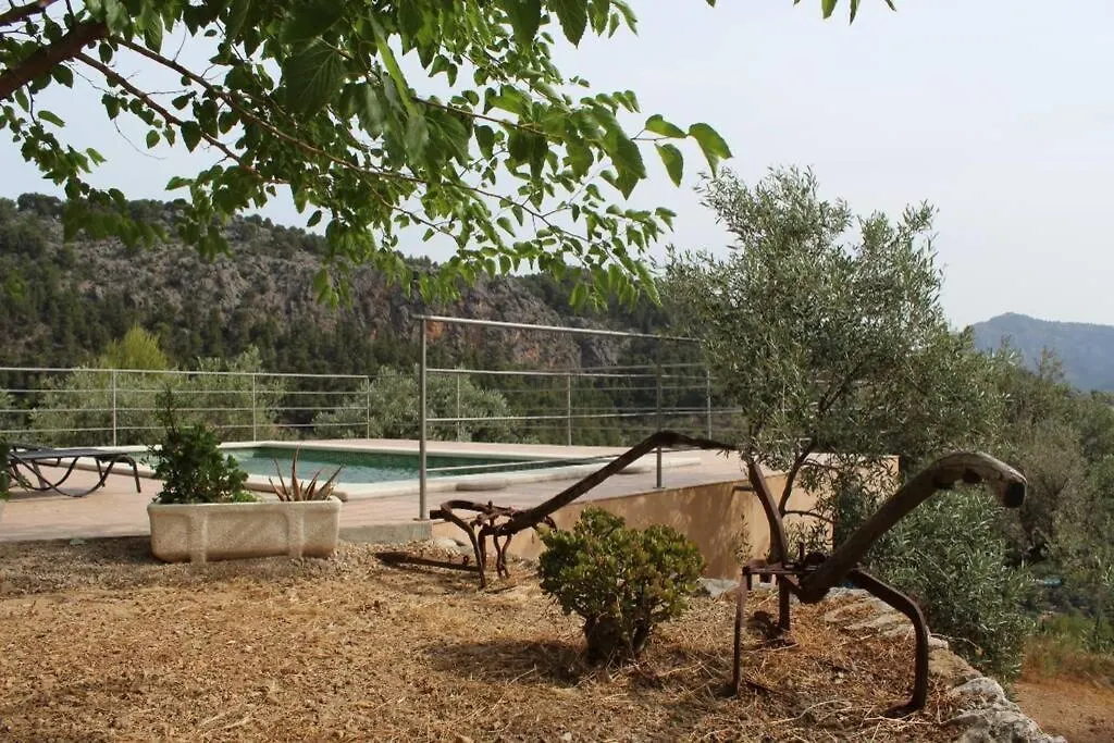 Appartement Olivar De S'Heretat Trekking/Ruta Gr-221 Sóller Espagne