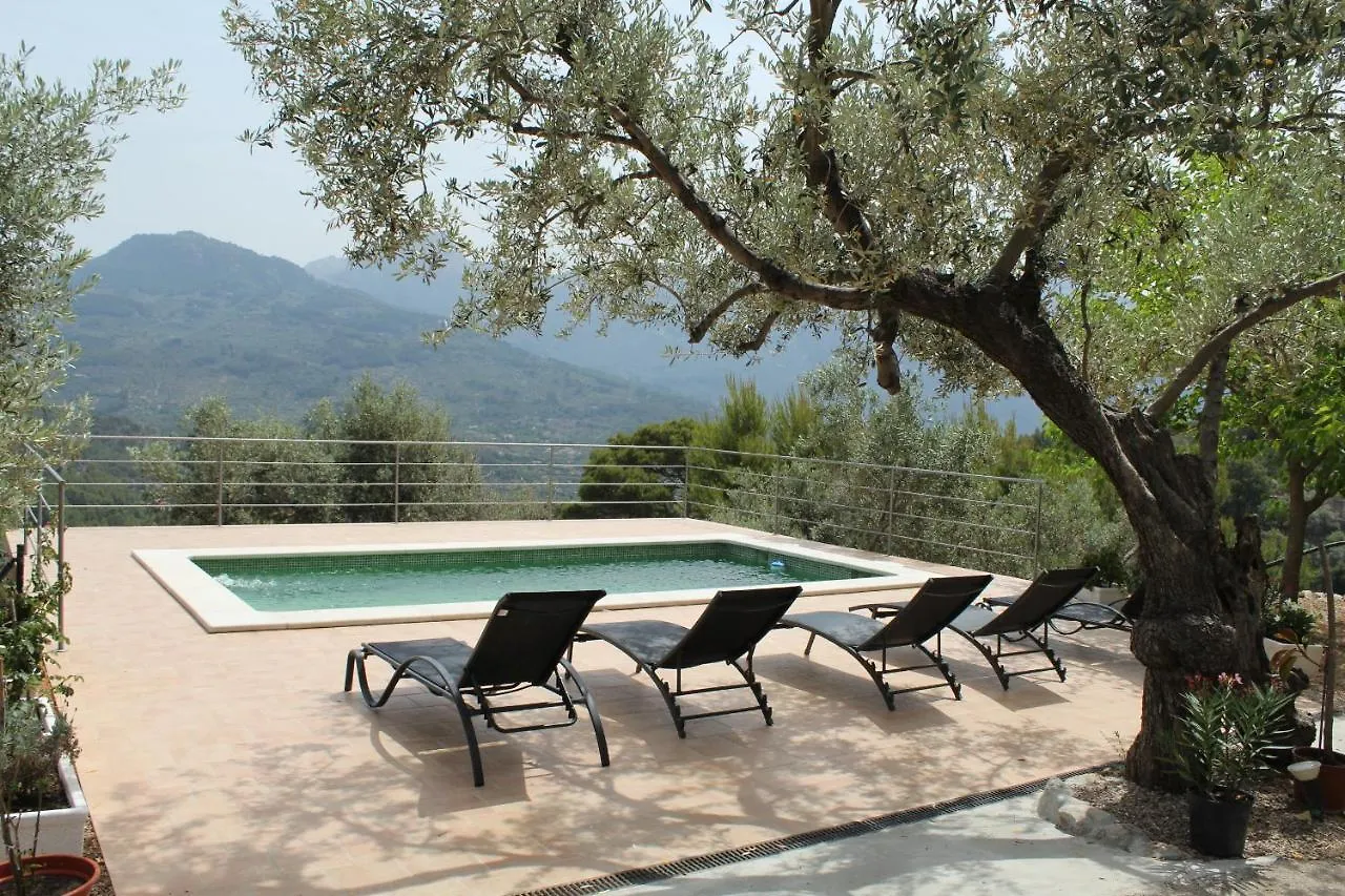 Olivar De S'Heretat Trekking/Ruta Gr-221 Sóller Appartement