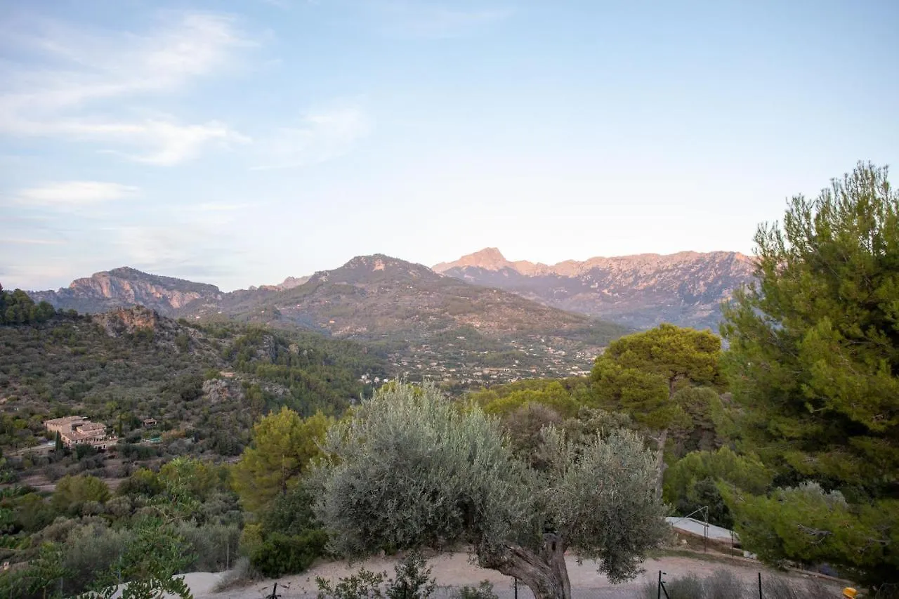Olivar De S'Heretat Trekking/Ruta Gr-221 Sóller