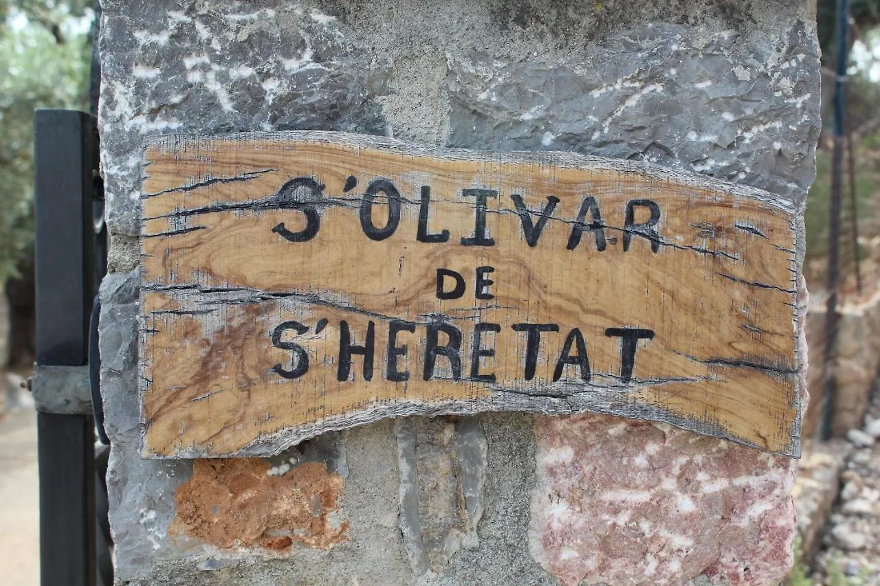 Olivar De S'Heretat Trekking/Ruta Gr-221 Sóller